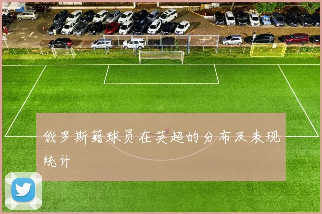 俄罗斯籍球员在英超的分布及表现统计