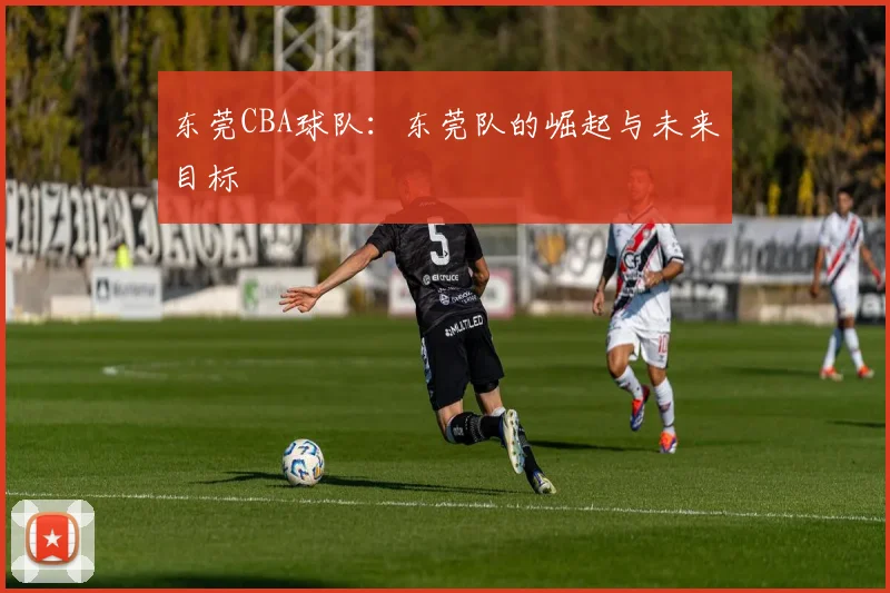 东莞CBA球队：东莞队的崛起与未来目标